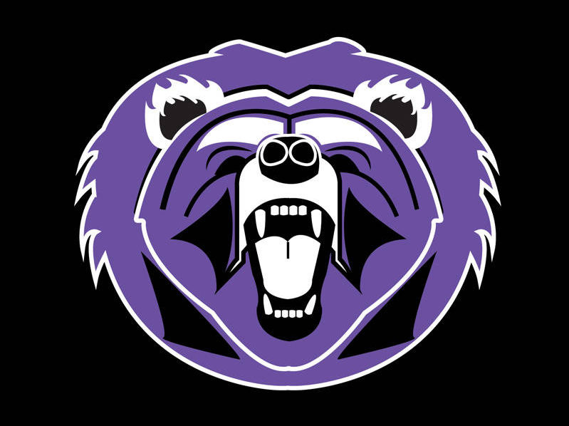 Bear mascot